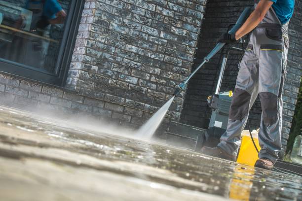 Animal Enclosure Cleaning in Mitchell, SD